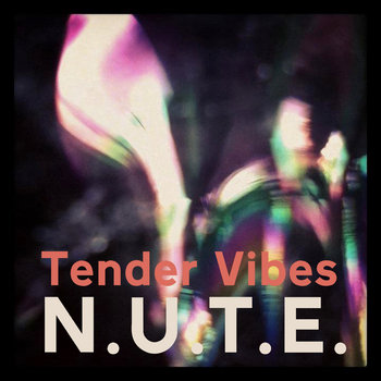 Tender Vibes cover art