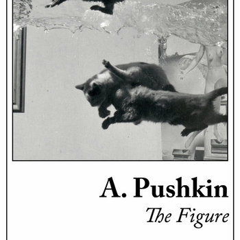 The Figure cover art