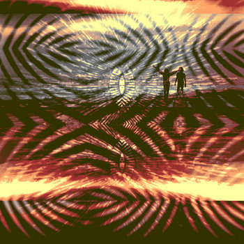 Pro Shit b/w Feel It (Windowpane Remix) cover art
