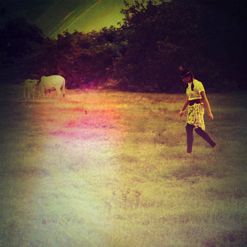 the curio collection cover art