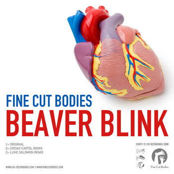 Beaver Blink cover art