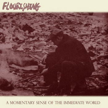 A Momentary Sense of the Immediate World cover art