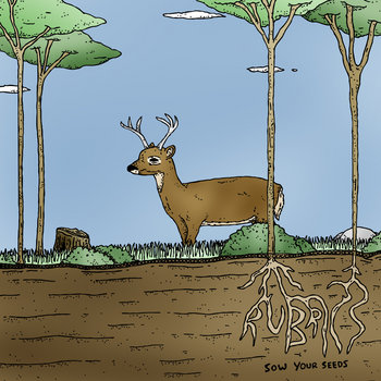 Sow Your Seeds cover art