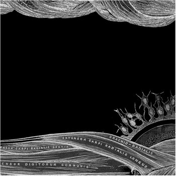 Name and Form (Black) cover art