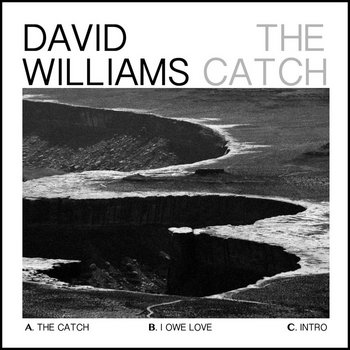 The Catch cover art