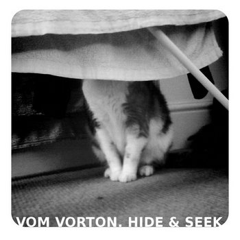 Hide & Seek cover art