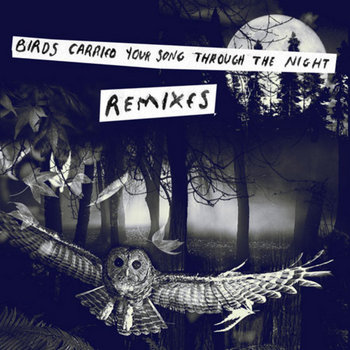 Birds Carried Your Song Through The Night REMIXES cover art