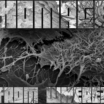 FromWhere? cover art