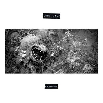 Fluffy cover art