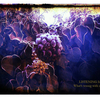 Limited Edition cd-r