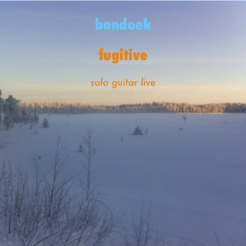 fugitive cover art