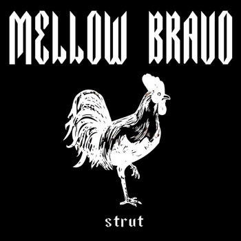 Strut cover art
