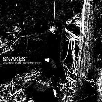 Waking Up And Decomposing cover art