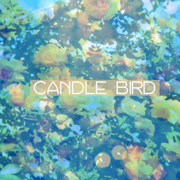 Candle Bird cover art