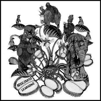 ACCELERATED LEARNING cover art