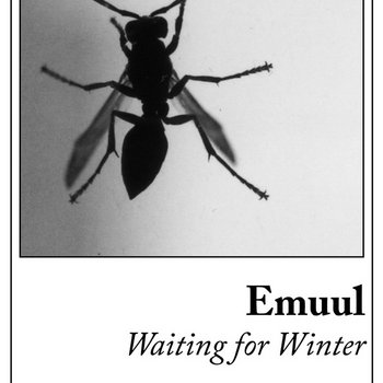 Waiting for Winter cover art