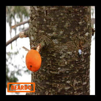 EP cover art