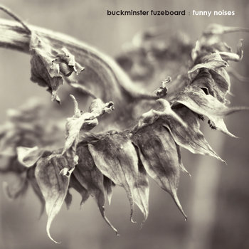 Funny Noises cover art