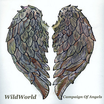 Campaign of Angels cover art