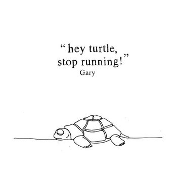 Hey Turtle - Stop Running! cover art