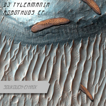 SE008 - Dj Tylermania - Robothugs Ep cover art