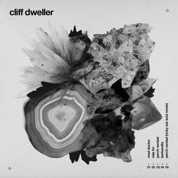 Perch Verdad cover art
