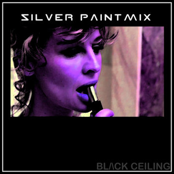 Silver Paint Mix cover art