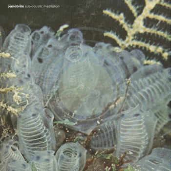 Sub-Aquatic Meditation cover art