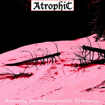 Greatest (S)Hits XII - Snowing on Indiscernible Pathways cover art