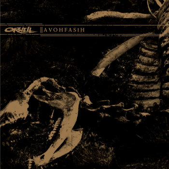 AVOHFASIH cover art