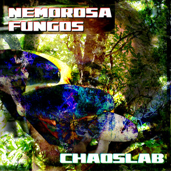 Nemorosa Fungos cover art
