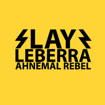 SlayR cover art