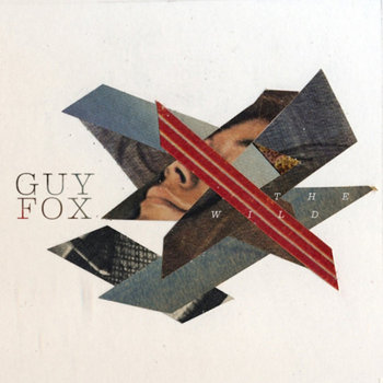 The Wild cover art
