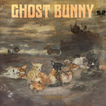 Ghost Bunny cover art