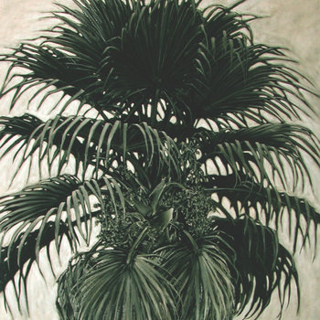 12" cover art