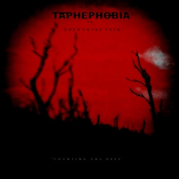 Counting The Days cover art