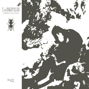 La Chronique du Chat et du Chien cover art