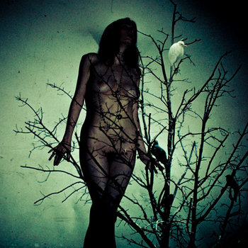 An Ache For The Distance cover art