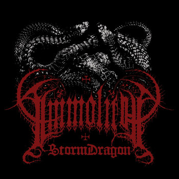 Storm Dragon cover art