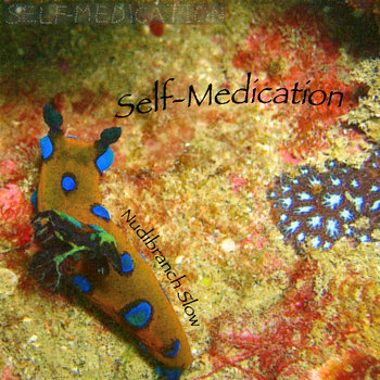 Nudibranch Slow cover art