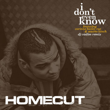 I Don't Even Know (DJ Vadim Remix) cover art