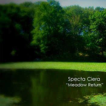 Meadow Return cover art