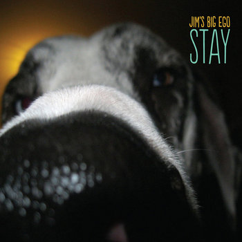 Stay cover art