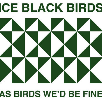 As Birds We'd Be Fine cover art