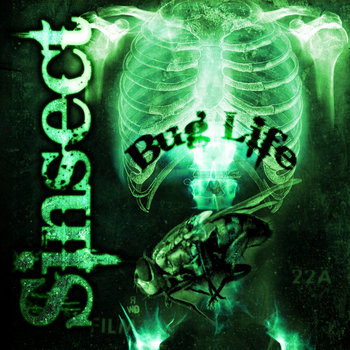 Bug Life cover art