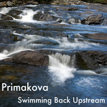 Swimming Back Upstream cover art