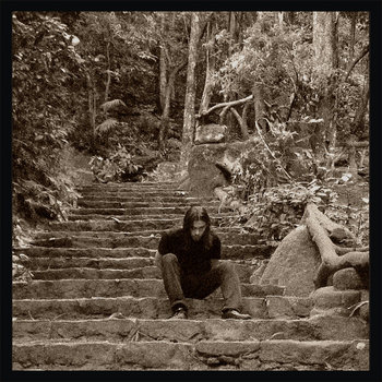 Manifesto cover art