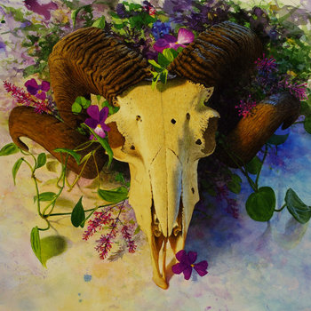 Death Head cover art