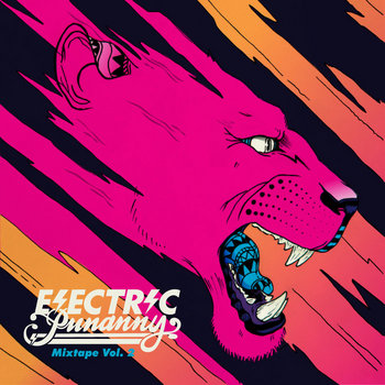 ELECTRIC PUNANNY MIXTAPE Vol. 2 cover art