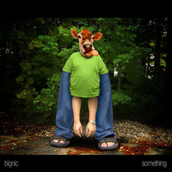 Something cover art